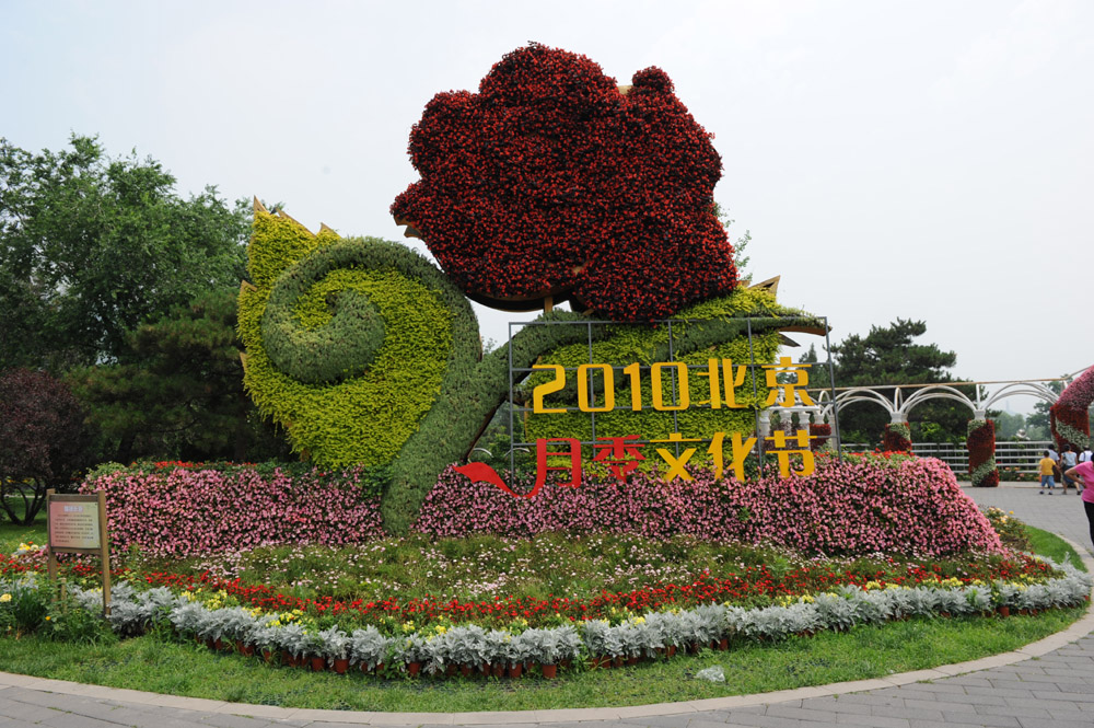 2010.6.16植物园—月季节