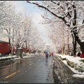 2013.03.20 北京三月飞雪