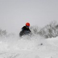 北海道Niseko滑雪