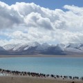 西藏-2012圣地之旅