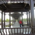 20110417运河公园