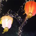 龙庆峡—花灯