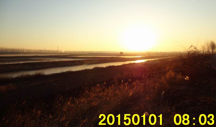 20150101湿地4.jpg