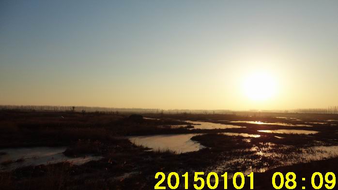 20150101湿地5.jpg