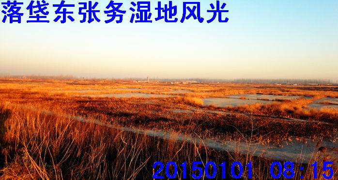 20150101湿地7.jpg