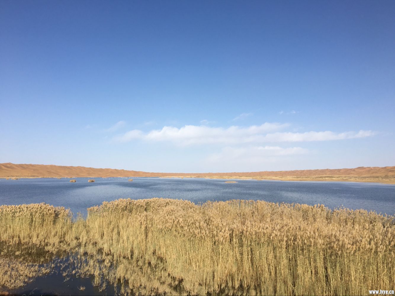 艾伊特，沙漠中最大的湖泊.jpg