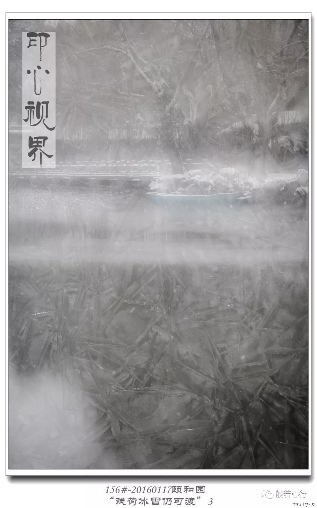 156#-20160117颐和园-“残荷冰雪仍可渡”3.jpg