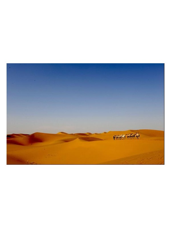 中国最值得一去的沙漠旅游地
