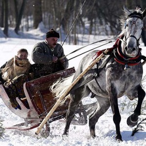 波兰人玩马拉雪橇享受冬日欢乐